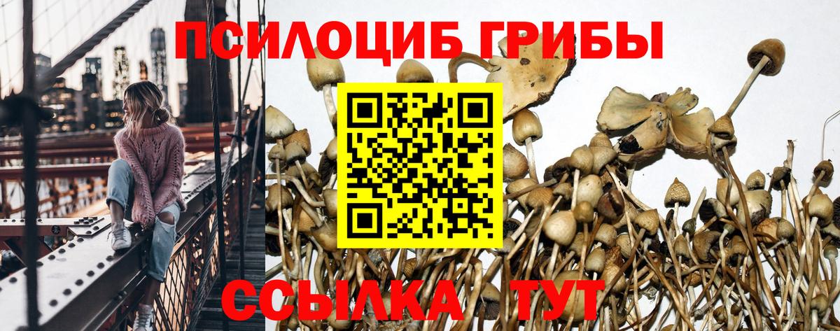 Грязи  Галлюциногенные грибы Magic Shrooms  Вход с VPN  Галлюциногенные грибы Psilocybe 