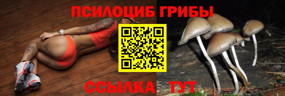 Псилоцибиновые грибы MAGIC MUSHROOMS Грязи